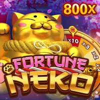 Hình ảnh minh họa các quy định và quy tắc của net88 Casino